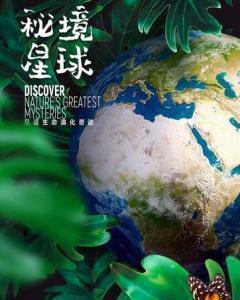 集邮者的收藏